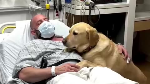 The dog kissed its owner in the hospital