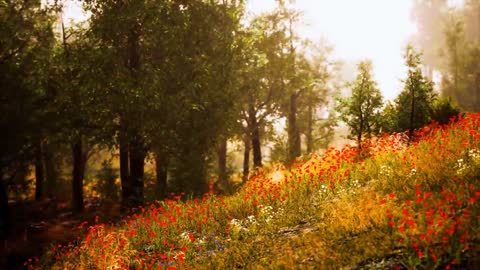 Enchanting Autumn Forests with Beautiful Piano Music