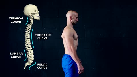 Improve Your Posture | 3 Exercises Only!