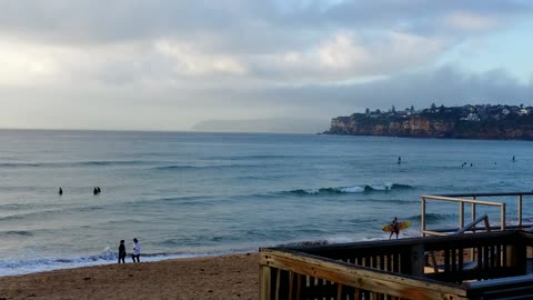 Eastern Whip Birds @ Dee Why Beach, Sydney