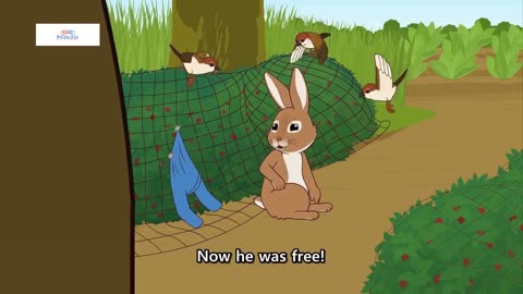 The Tale Of Peter Rabbit