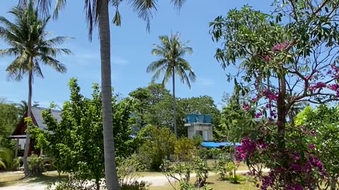 #trees #view #naturebeauty #beachlife #beach #beautiful #beaches 😎🙏