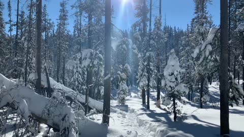 Always Use the Least Amount of Equipment Necessary – Central Oregon – Swampy Lakes Sno-Park – 4K