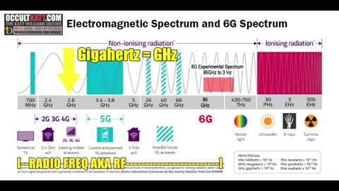 Weaponizing Your Home EMF-RF Dangers ~