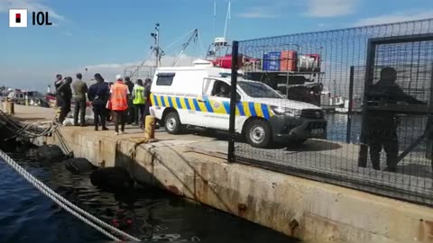 Watch: Law Enforcement arrest fishermen and impound their boat at Kalk Bay Harbour