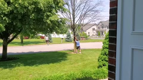 Cutting Down Tree with Electric Chainsaw (Gone Wrong?!)