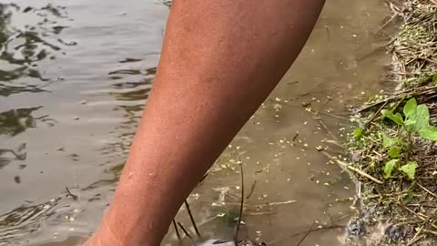 Spoon-Feeding a Catfish