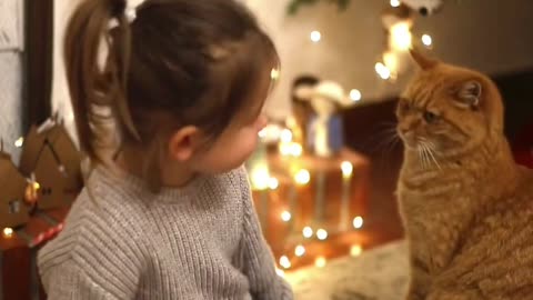 A funny cat is playing with a kid