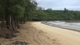 Lihu'e, HI — Hanama'ulu Beach Park