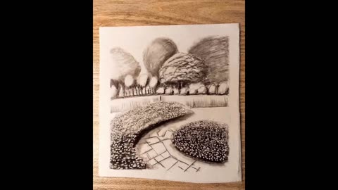 Easy charcoal drawing zen garden # drawing