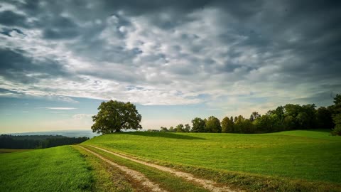 Tree Clouds & Greenry _ Free stock footage _ Free HD Videos