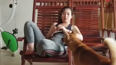 Pretty sister plays with cute dog.