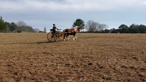 Maudie Speeding