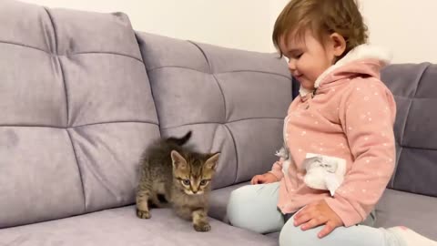 Cute Baby Meets New Baby Kitten for the First Time!