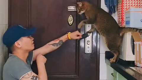 Teaching a Feline to Master the Art of Door Opening 😹