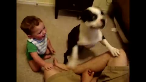 Cute Dogs And Adorable Babies: Compilation