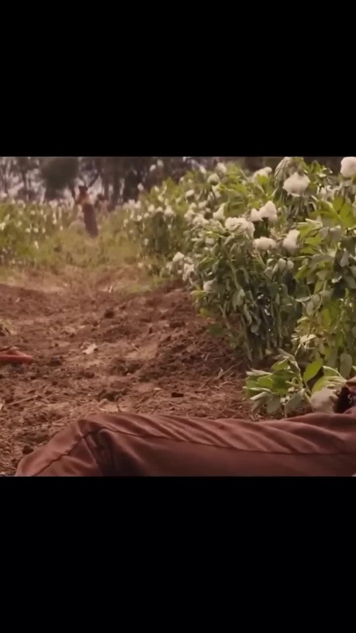 Django Unchained Dr. Shultz kills Ellis Brittle