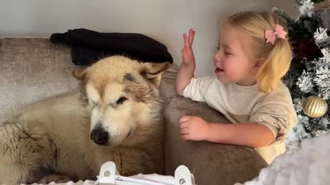 Curious Dog And Cat Bond With Newborn Baby! He Rocks Him To Sleep!