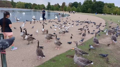 Kensington Palace