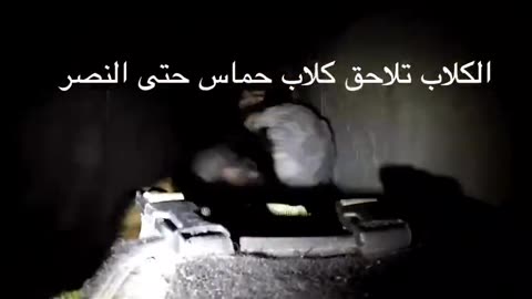 A must watch: IDF attack dogs go after Hamas-ISIS terrorists inside their tunnels in