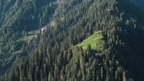 Sharan forest in Pakistan