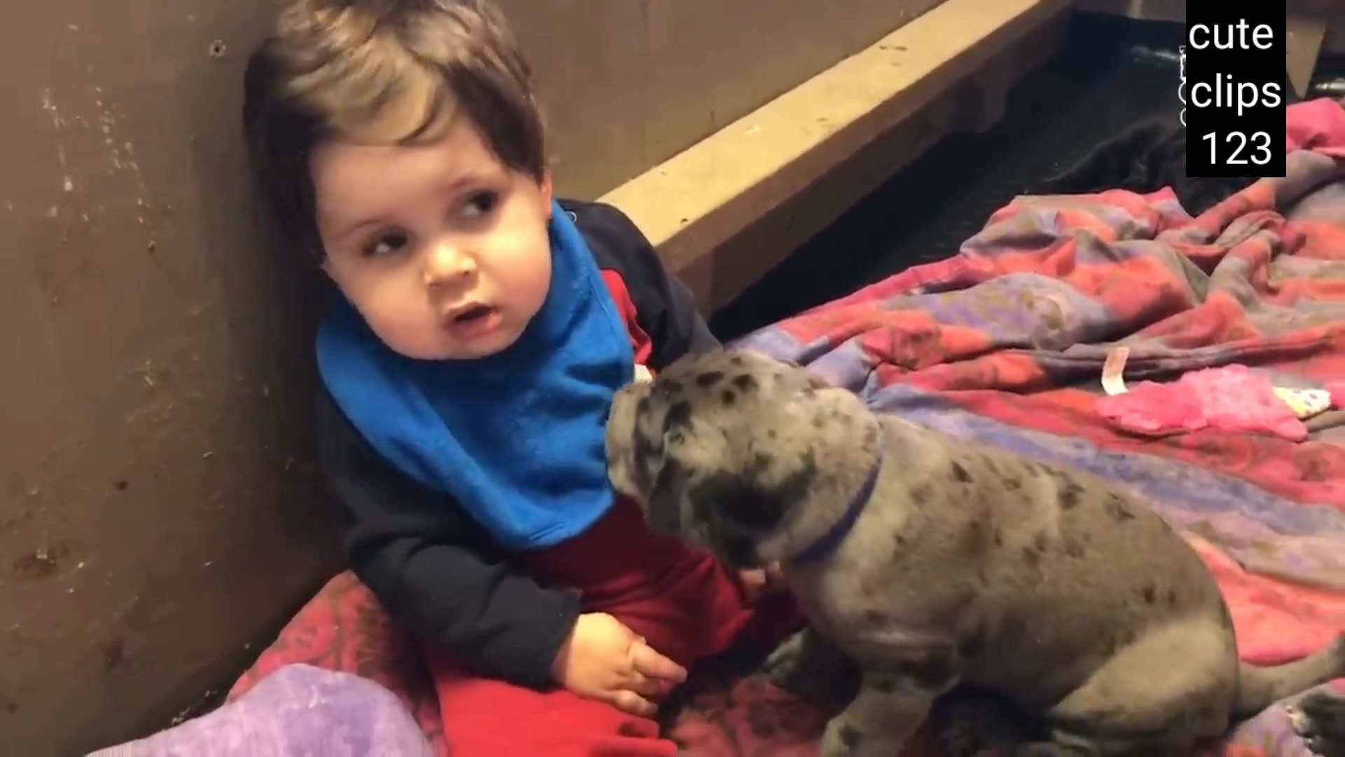 Cute baby😍 and dog cute video🥰