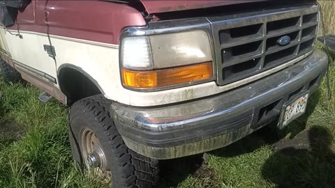 My '95 F250 with just over 250K miles on the 7.3L million mile engine.