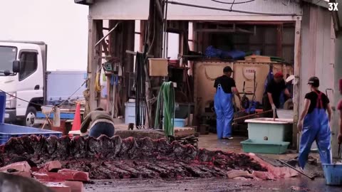 Japanese Traditional Food Whale Meat - Whale Meat Cutting Skill in Japan