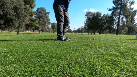 Golf Swing 6 Iron