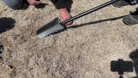 Metal Detecting at the Lost Sand Creek Site