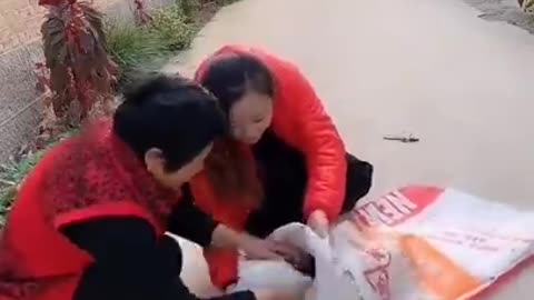 Non-Stop Laughs: Best Funny Videos 2023 - Daily Dose of Hilarious Chinese Clips!