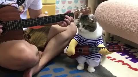 Cat and I play the guitar together