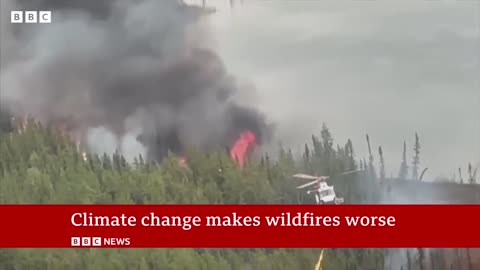 Canada suffers worst wildfire season on record - BBC News