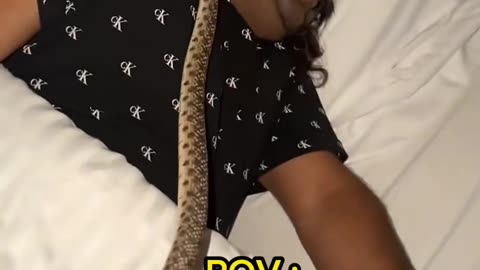 Snake in bed