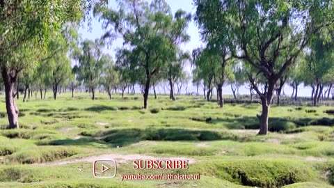 Coming Soon Full Video Of Guliakhali Sea Beach, Sitakundu, Chittagong.