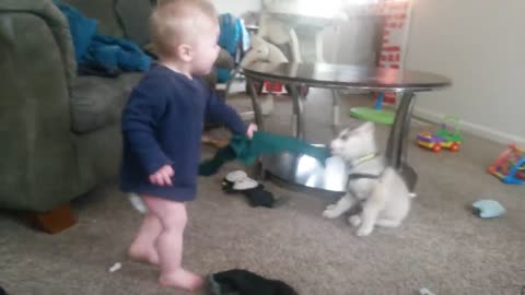 CUTE BABIES PLAYING WITH DOGS