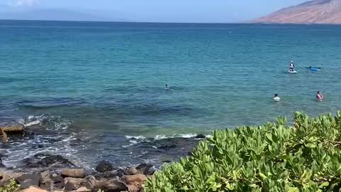 Classic South Maui Beaches