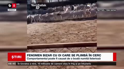 FENOMEN BIZAR CU OI CARE SE PLIMBĂ ÎN CERC_Știri B1_19 nov 2022