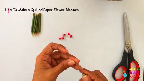 How To Make a Quilled Paper Flower Blossom | By Art & Craft Hacks