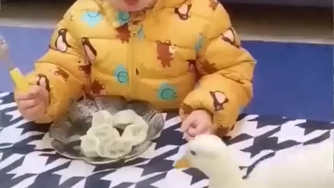 Smart baby & duck