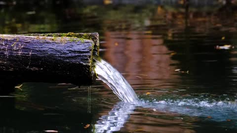 #river #nature🌷 #photography🌹 #travel #naturephotography