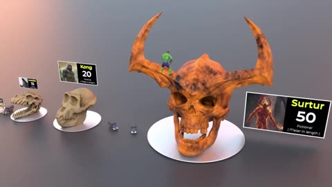 Skull Size Comparison | size Comparison | Biggest skull