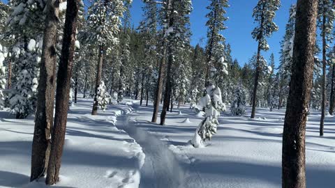 Walking Through a Winter Postcard – Central Oregon – Swampy Lakes Sno-Park – 4K