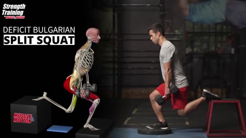 Split Squat Vs. Skater Squat