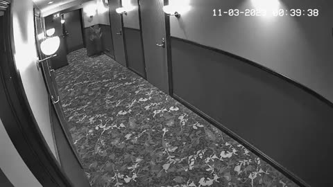 Local hotel security caught this on camera