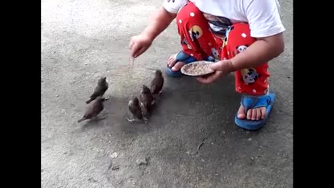 Child Feeds Abandoned Baby Birds