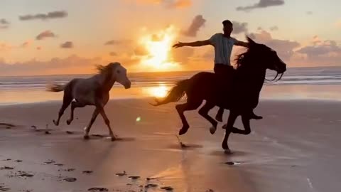 Horse riding on the beach the best in the world for more experienced riders