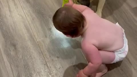 Cute Babby Playing with Dog