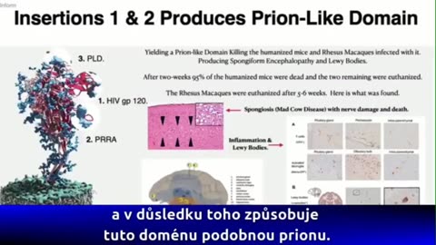 April 30, 2024-Watchman News-Eph 4:15-Putin Nukes can't be ruled out, HIV in Cosmetic Needles + More