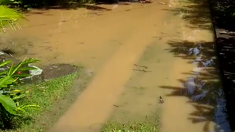 Flooding in Brazil